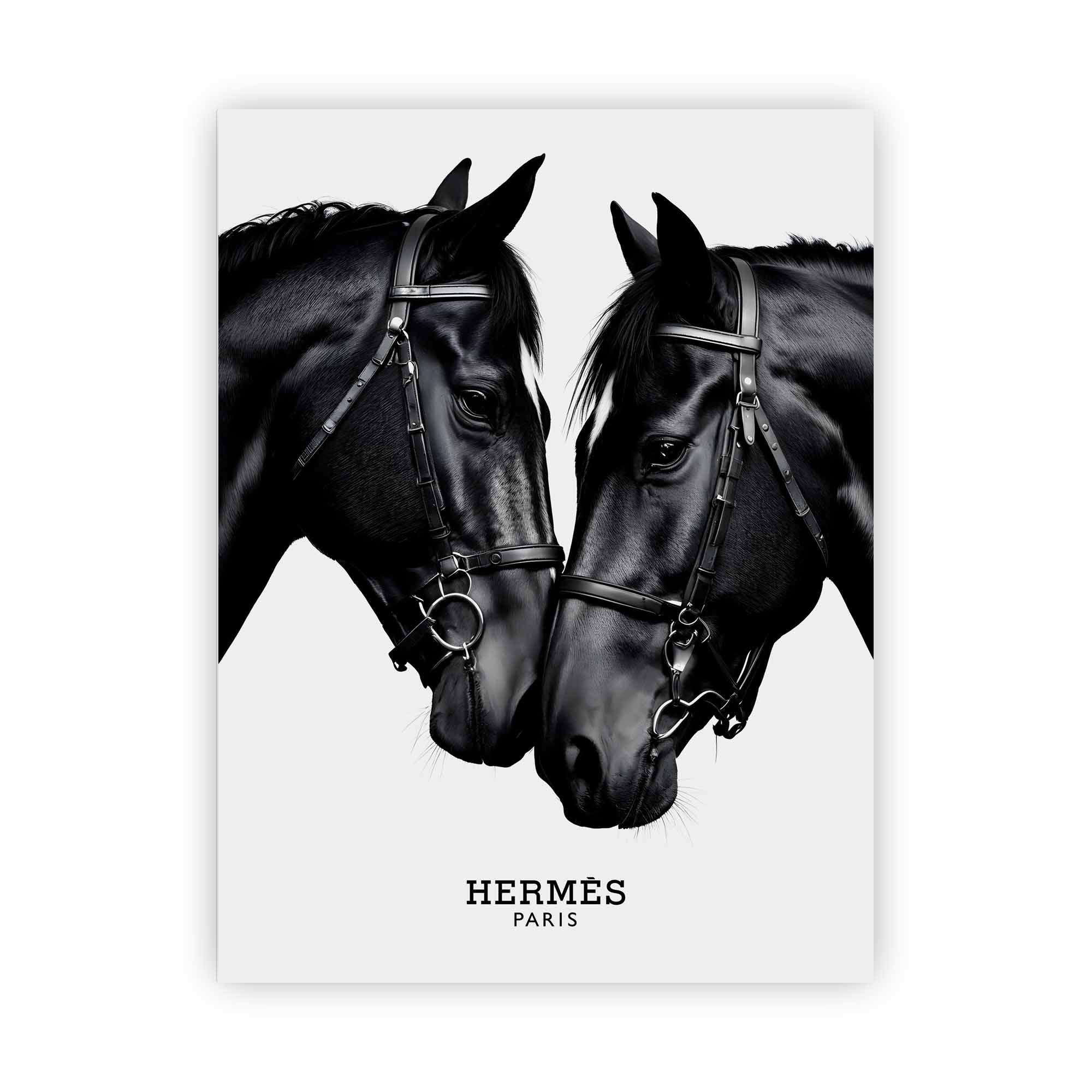 Artist Army Bridled Perfection Alu Dibond 1