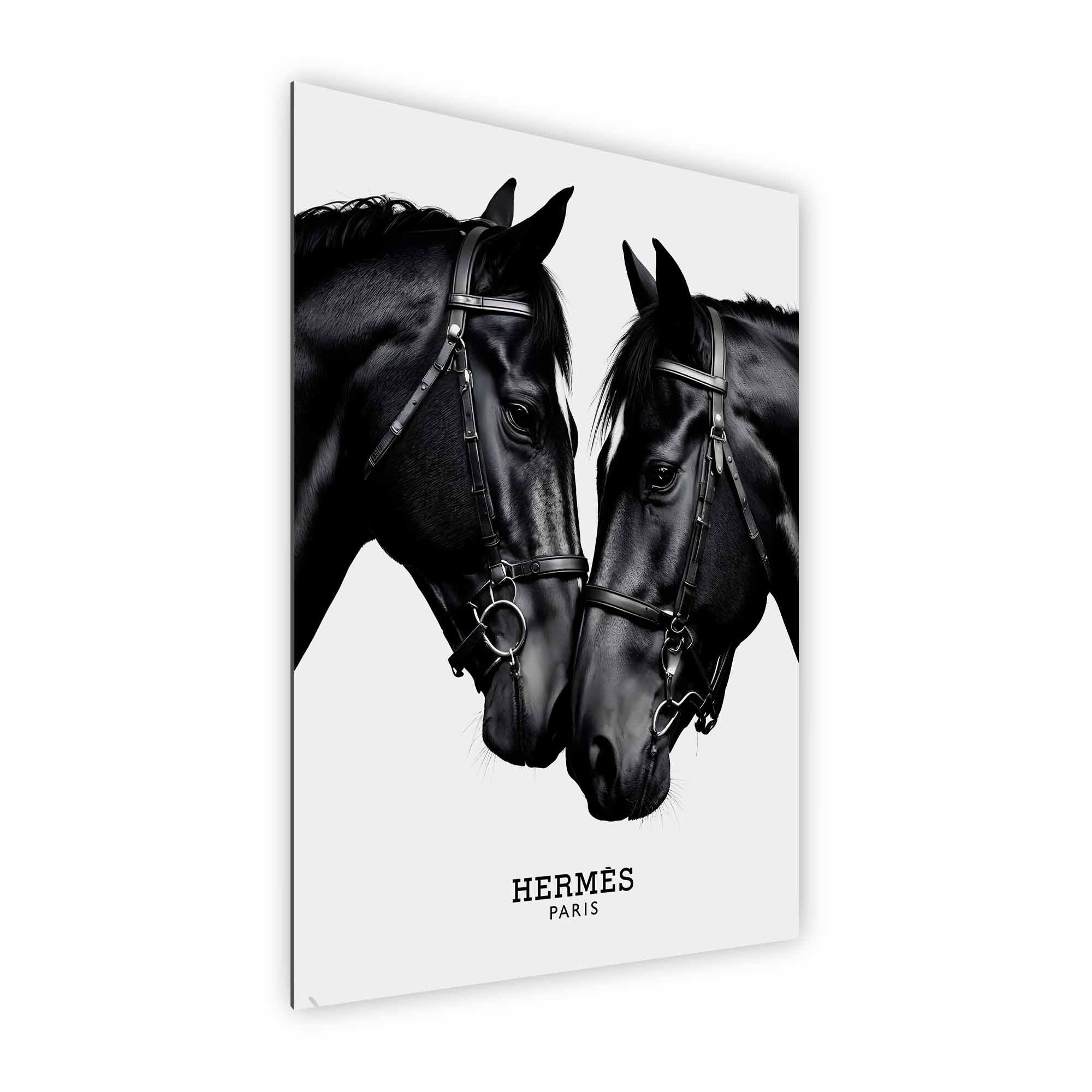 Artist Army Bridled Perfection Alu Dibond 2