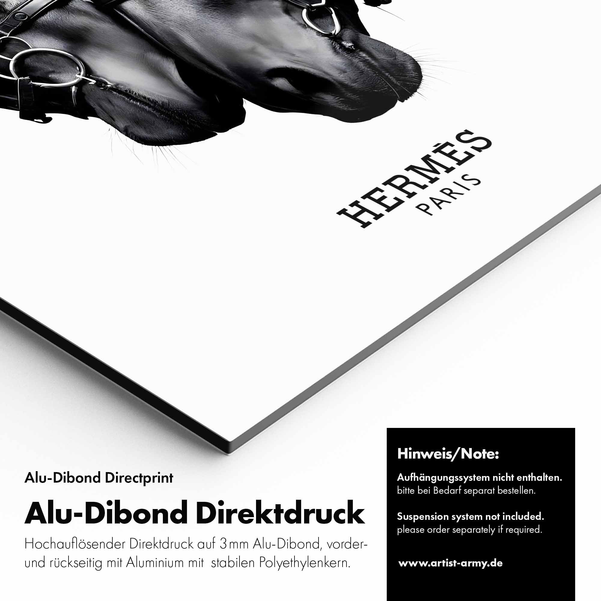 Artist Army Bridled Perfection Alu Dibond Detail