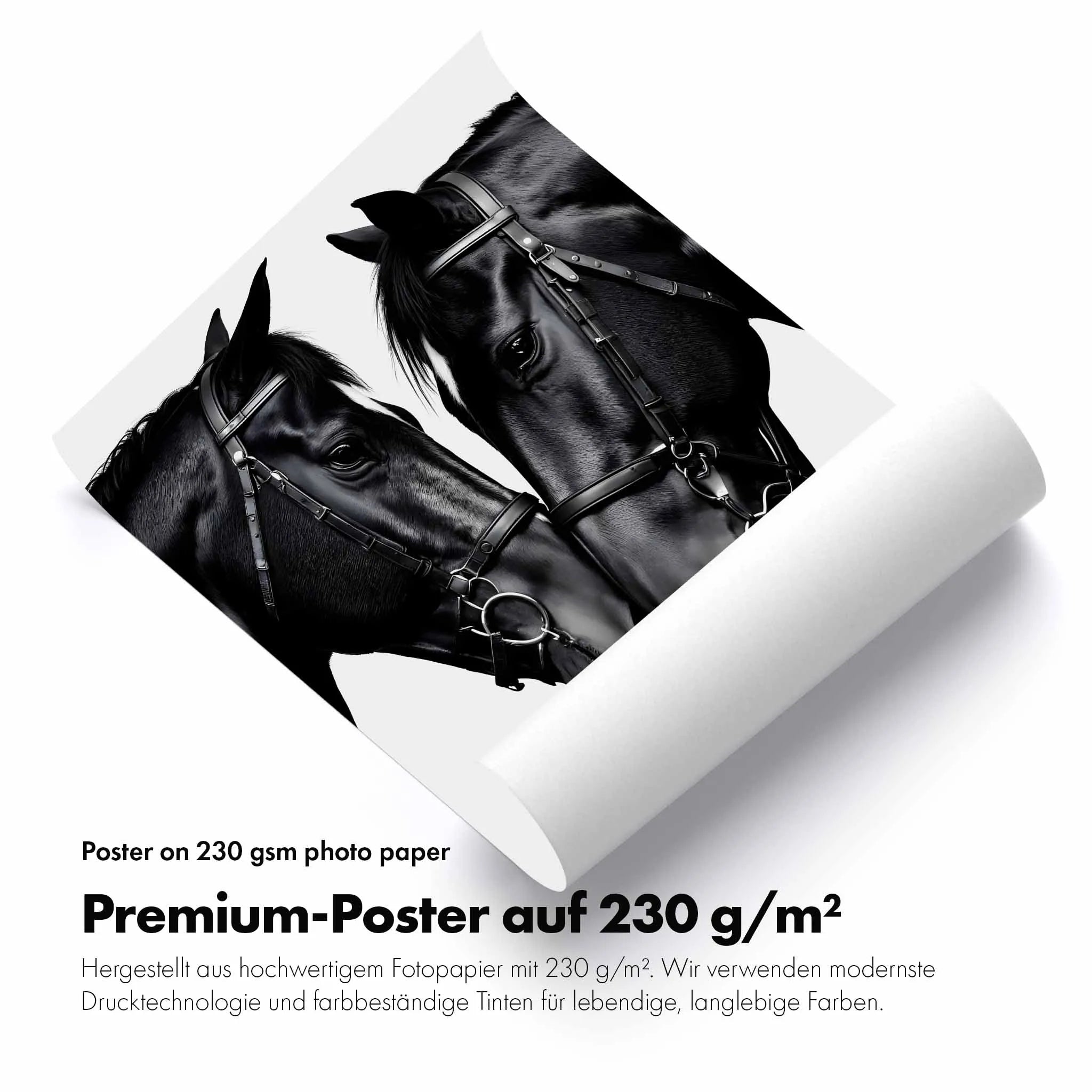 Artist Army Bridled Perfection Poster 4