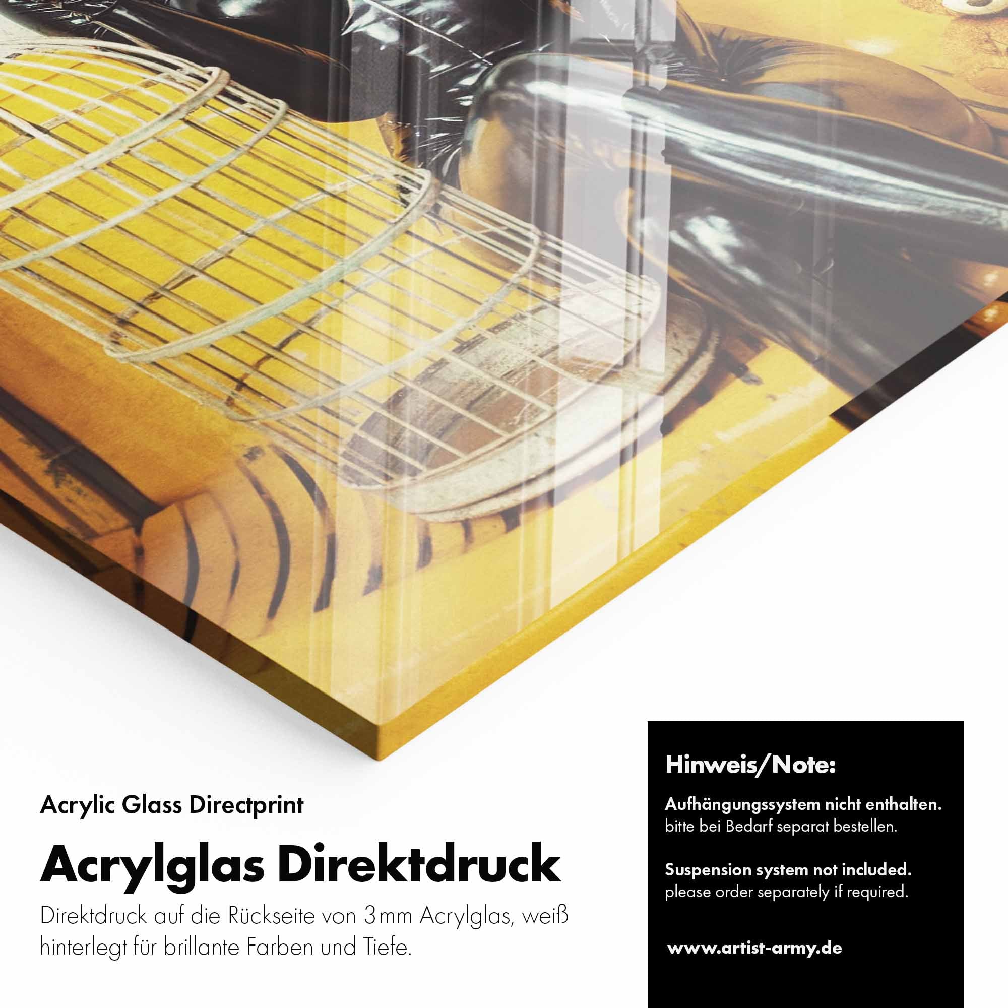 Artist Army Cat Woman Fast Food Acrylglasbild Detail