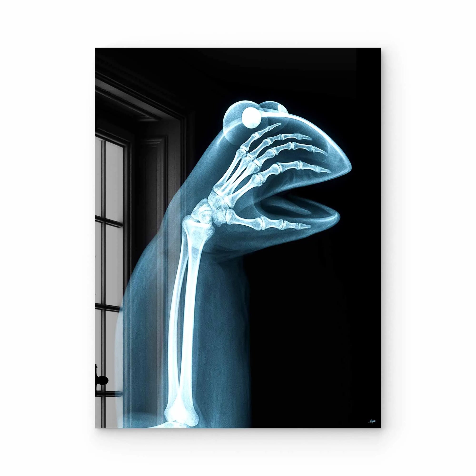 Artist Army Naked Truth Of Kermit Acrylglasbild 1