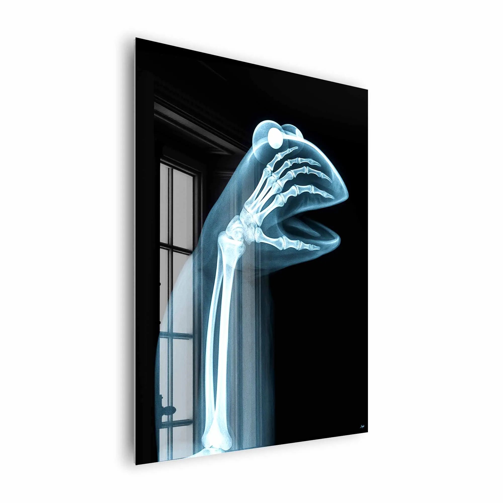 Artist Army Naked Truth Of Kermit Acrylglasbild 2