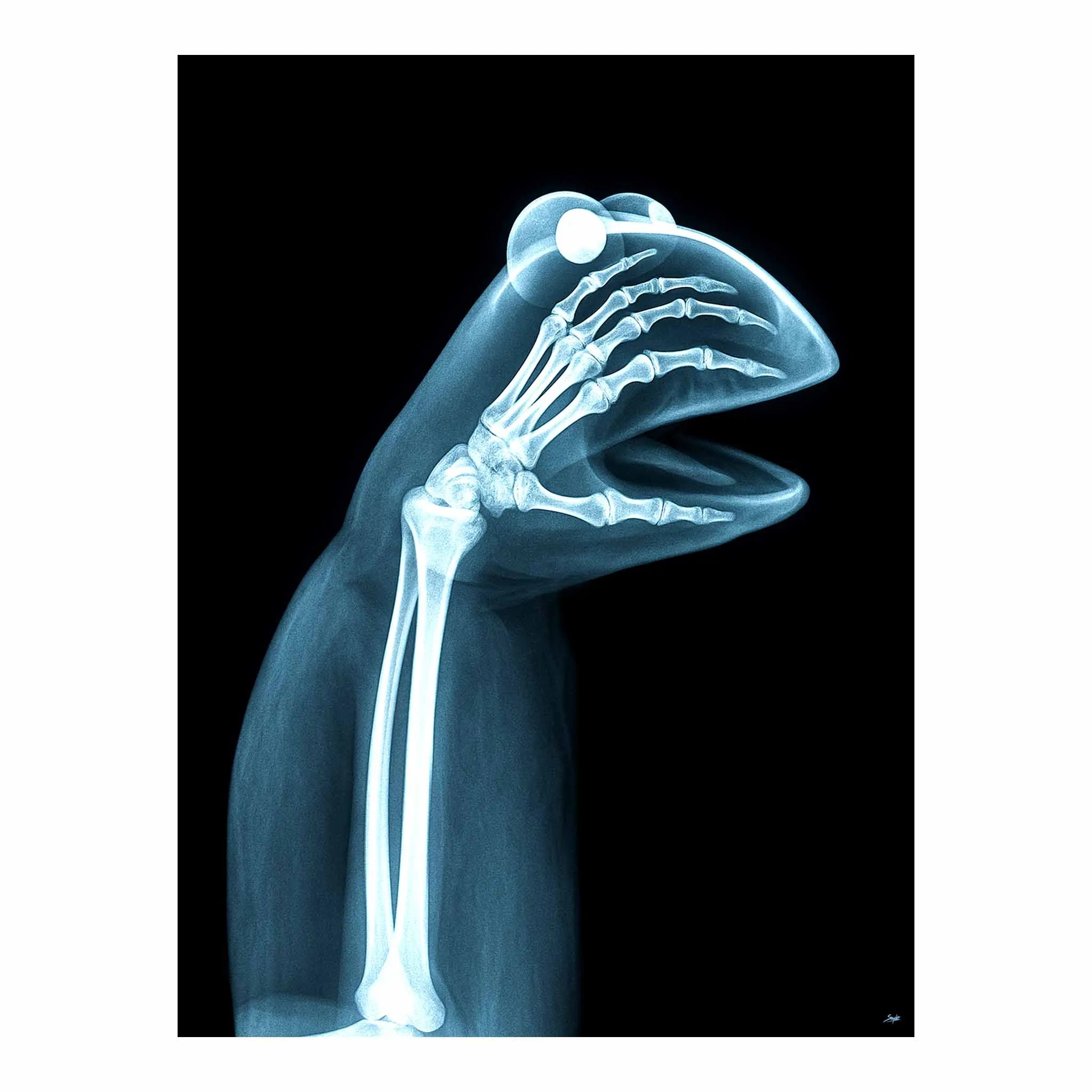 Artist Army Naked Truth Of Kermit Poster 1