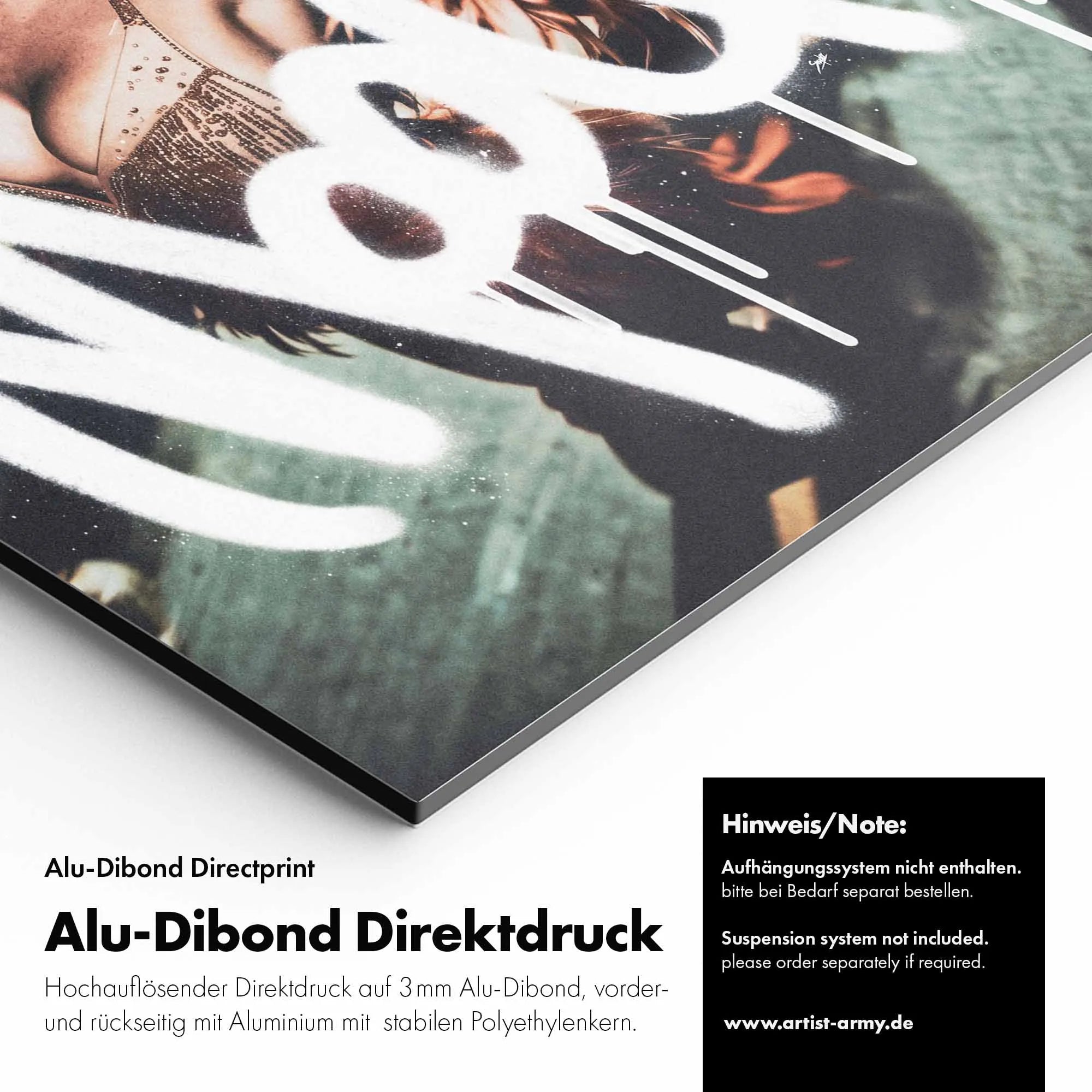 Artist Army Rio De Janeiro Alu Dibond Detail