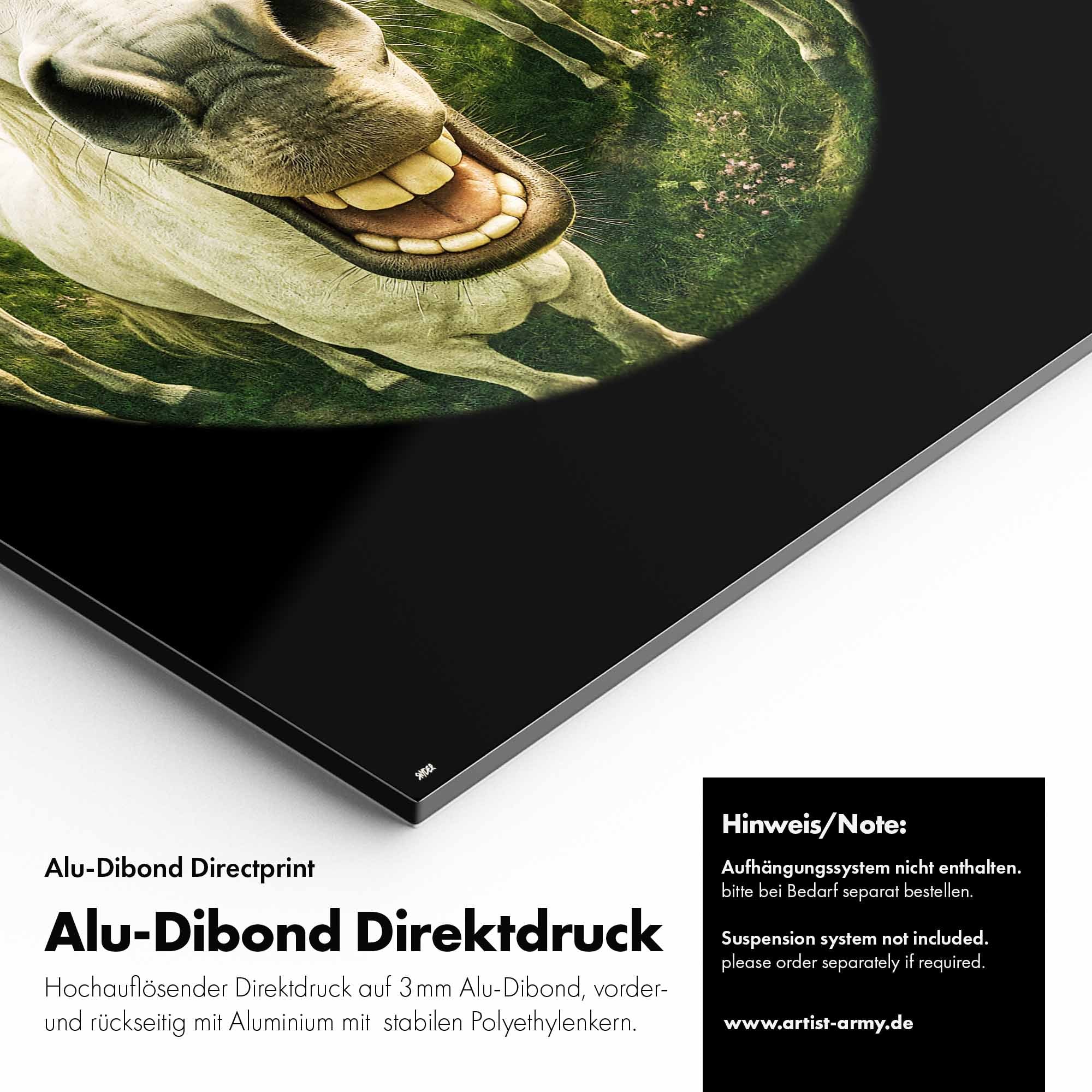 Artist Army Smile For The Magic Alu Dibond Detail