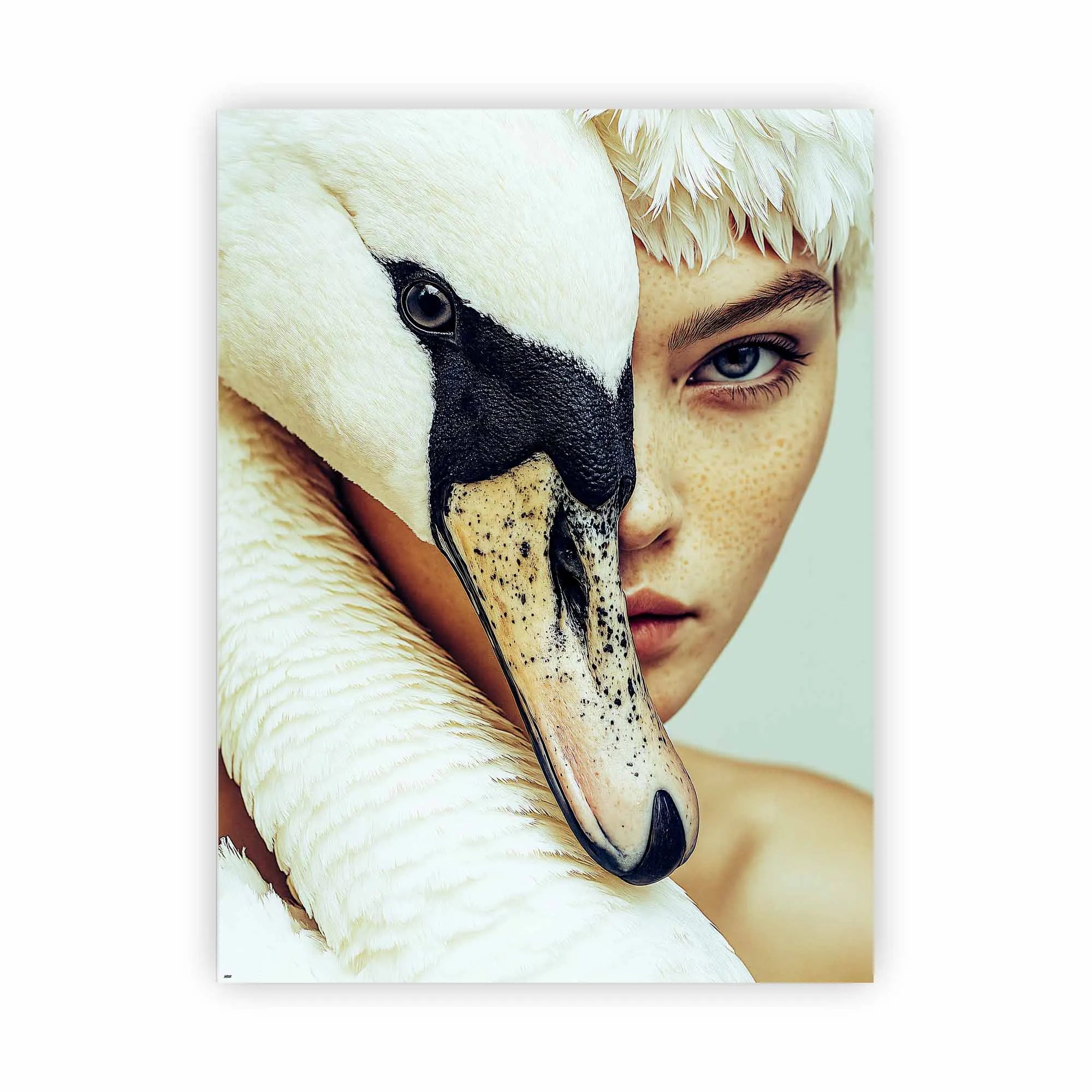 Artist Army Swan Skin Alu Dibond 1