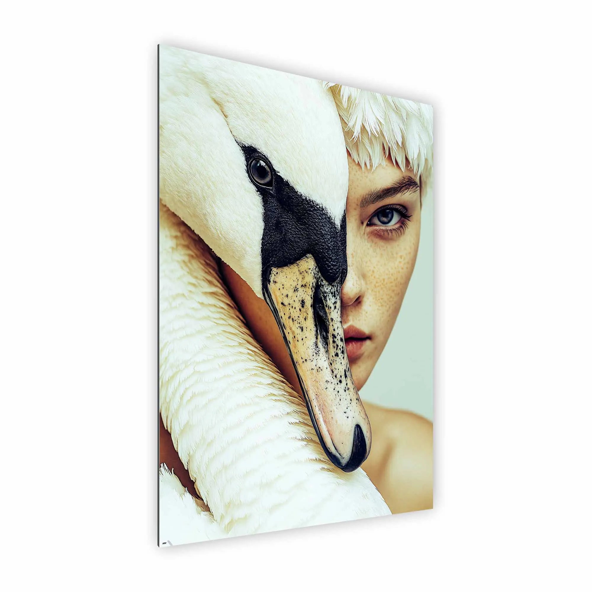 Artist Army Swan Skin Alu Dibond 2