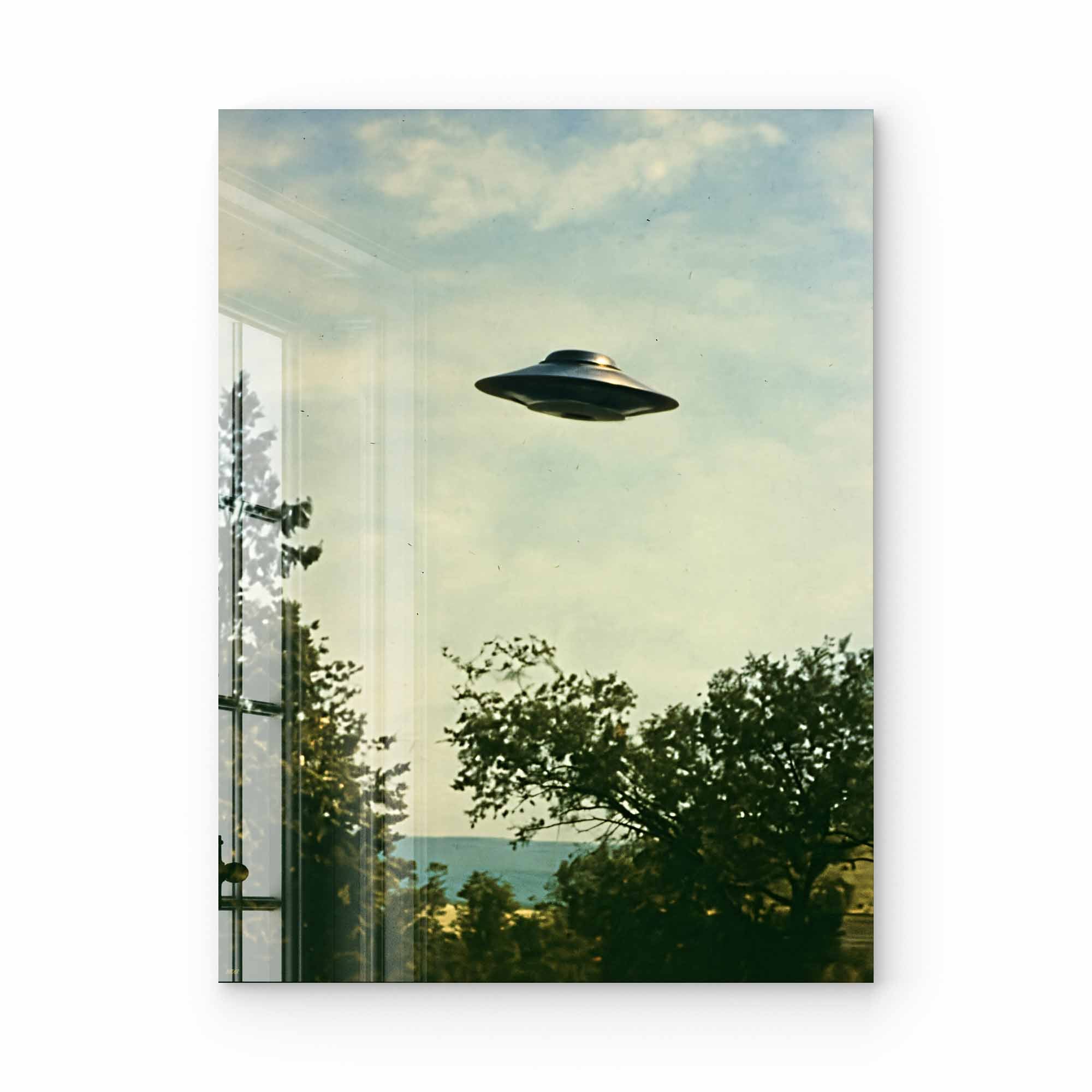 Artist Army The Visitor Acrylglasbild 1