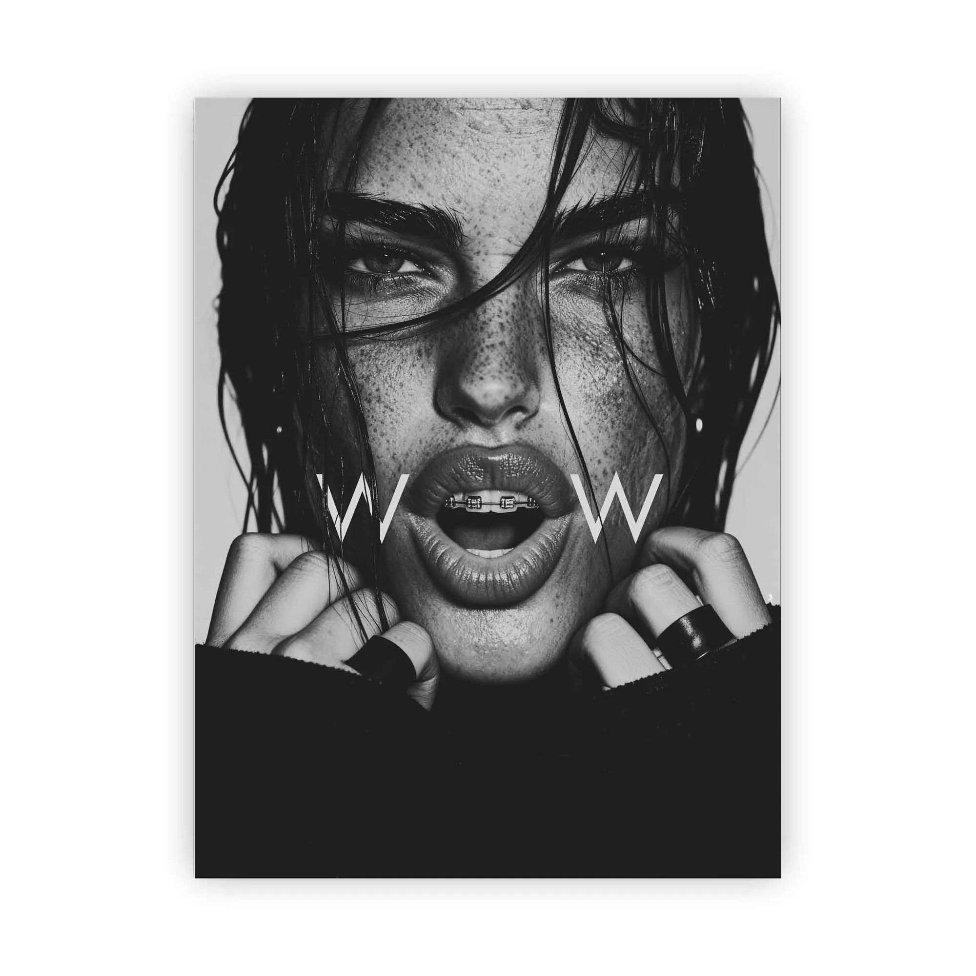 Artist Army Wow Alu Dibond 1