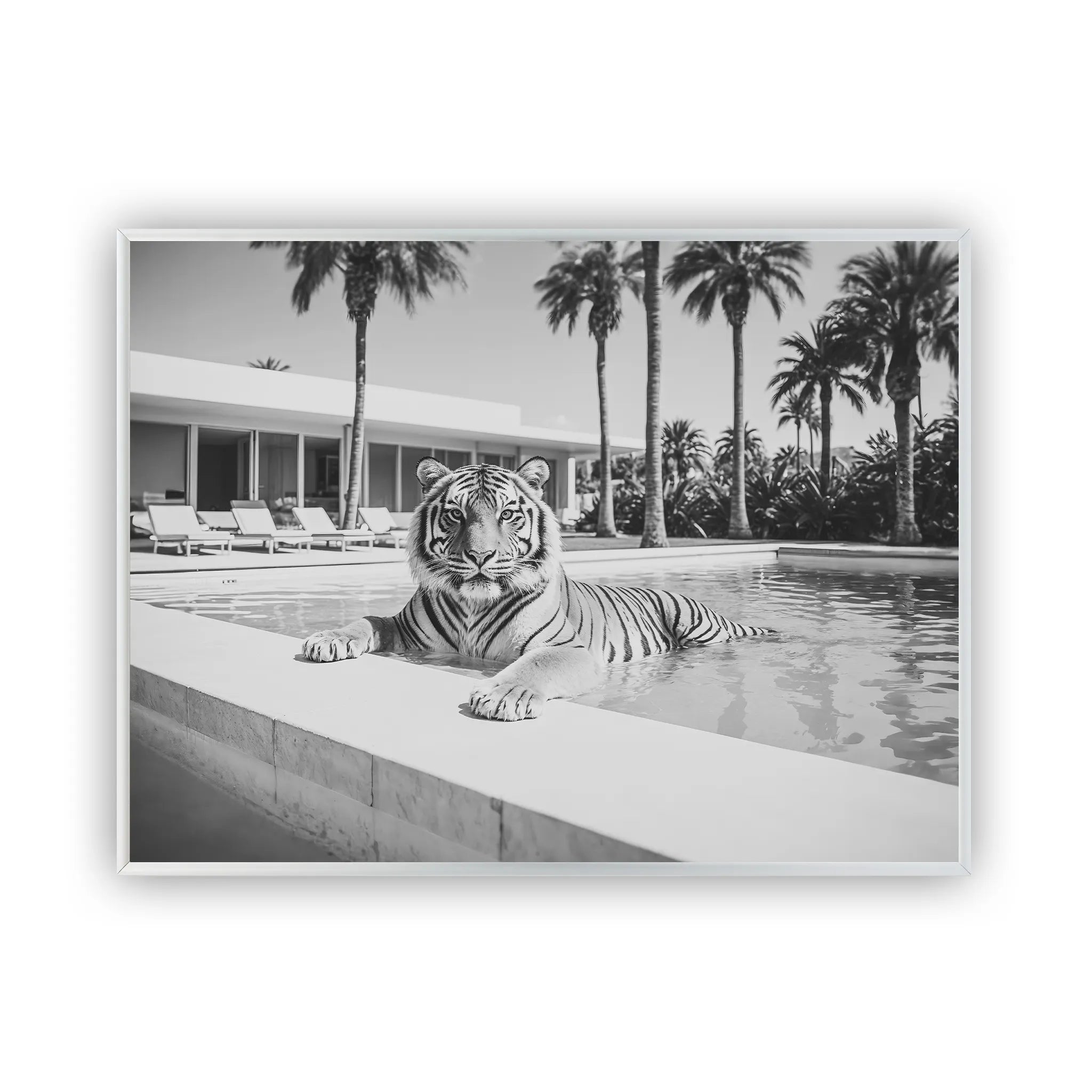 tropical-tiger-splash-poster-silver-frame