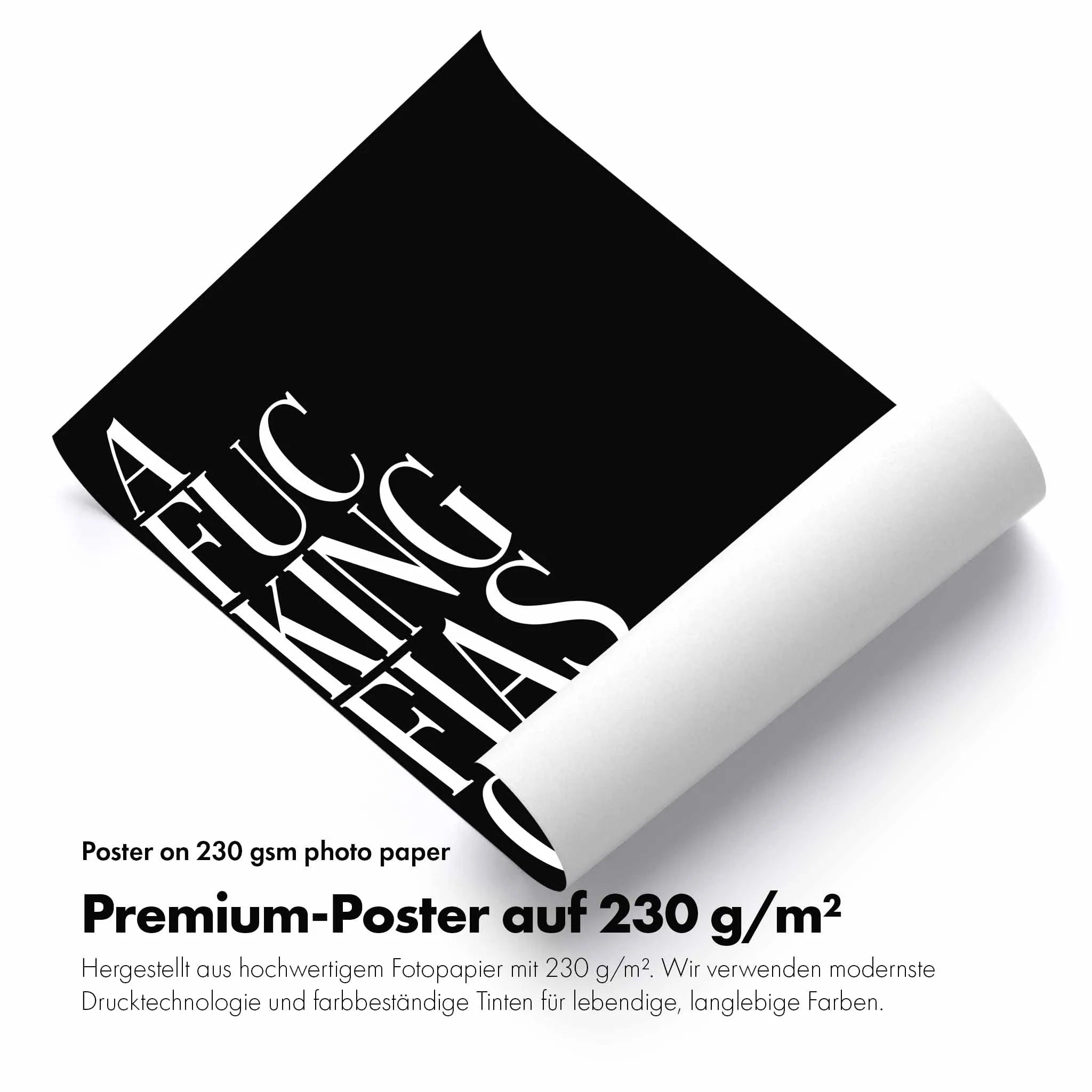 Artist Army A Fiasco Poster 4