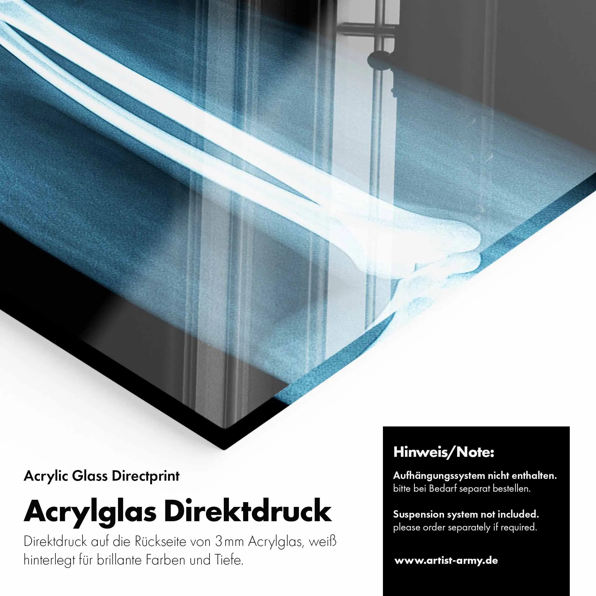 Artist Army Naked Truth Of Kermit Acrylglasbild Detail