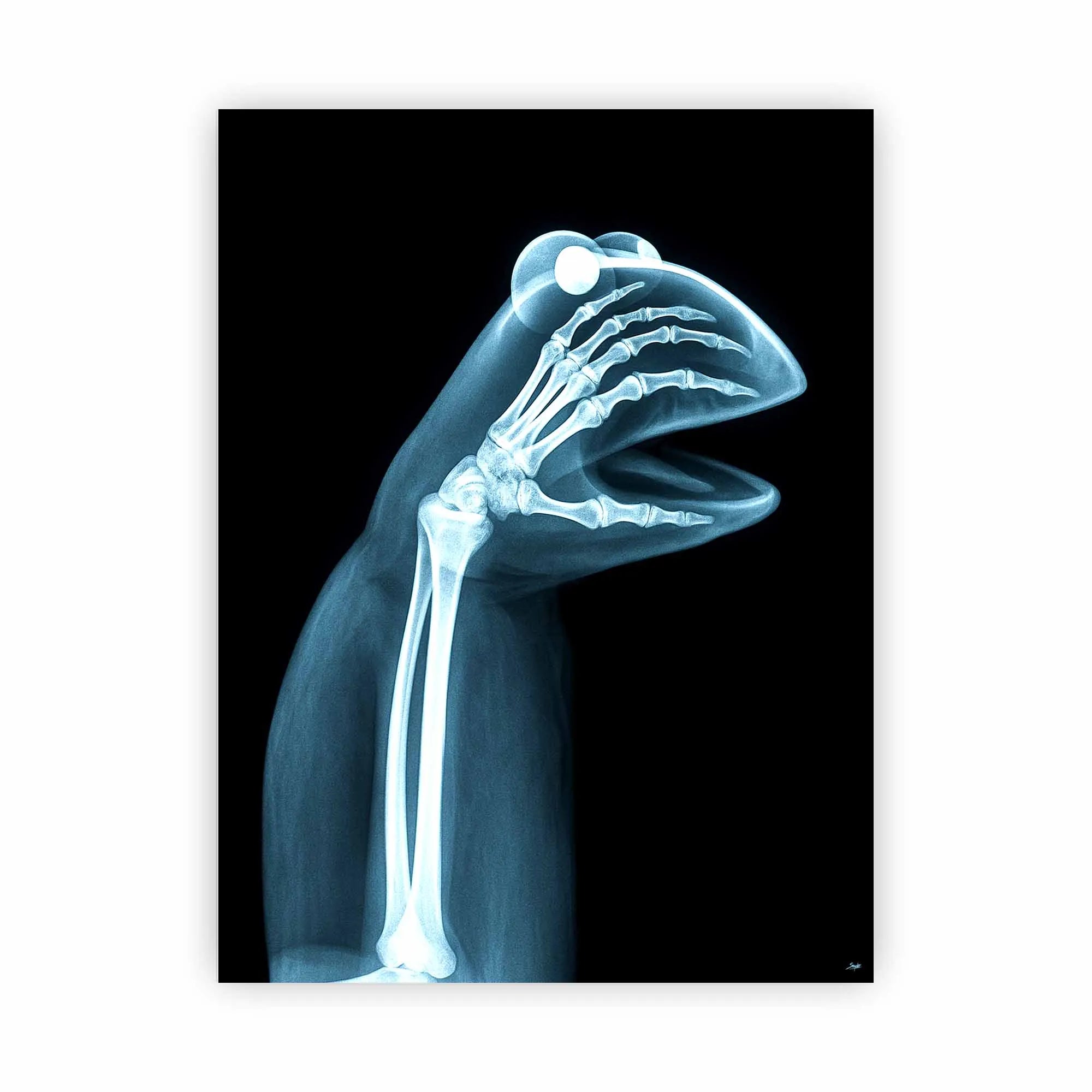 Artist Army Naked Truth Of Kermit Alu Dibond 1