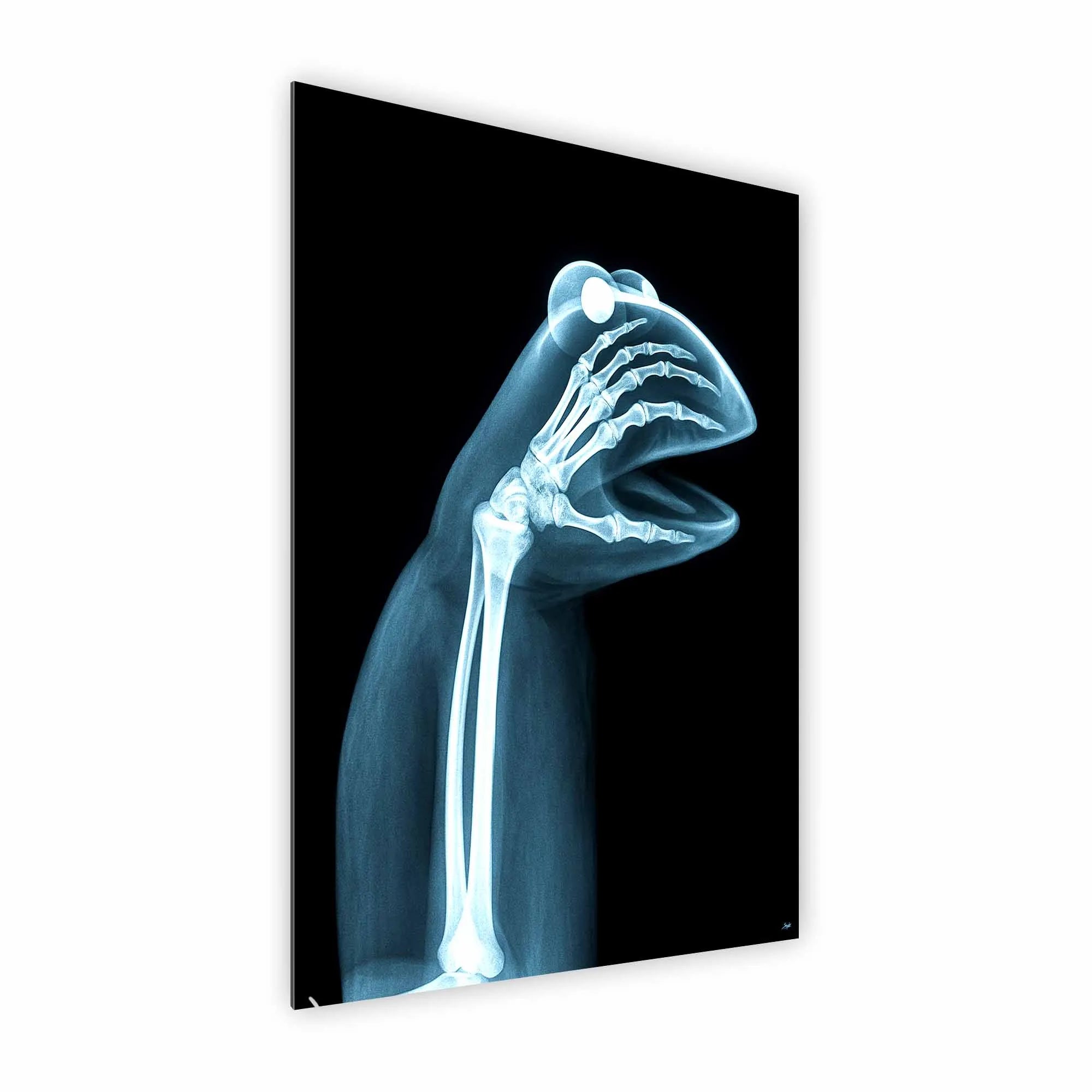 Artist Army Naked Truth Of Kermit Alu Dibond 2