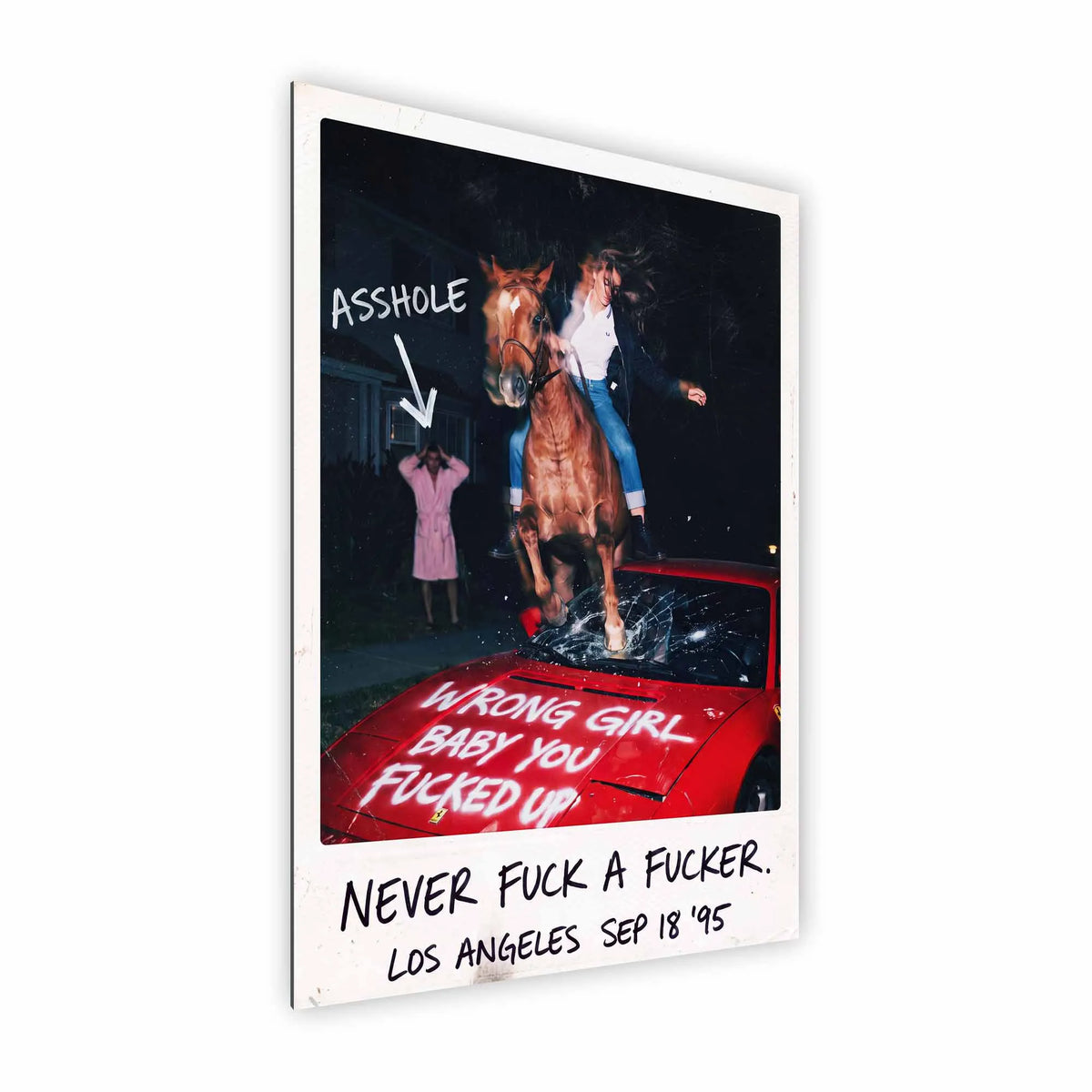 Artist Army Never Fuck A Fucker Baby Alu Dibond 2