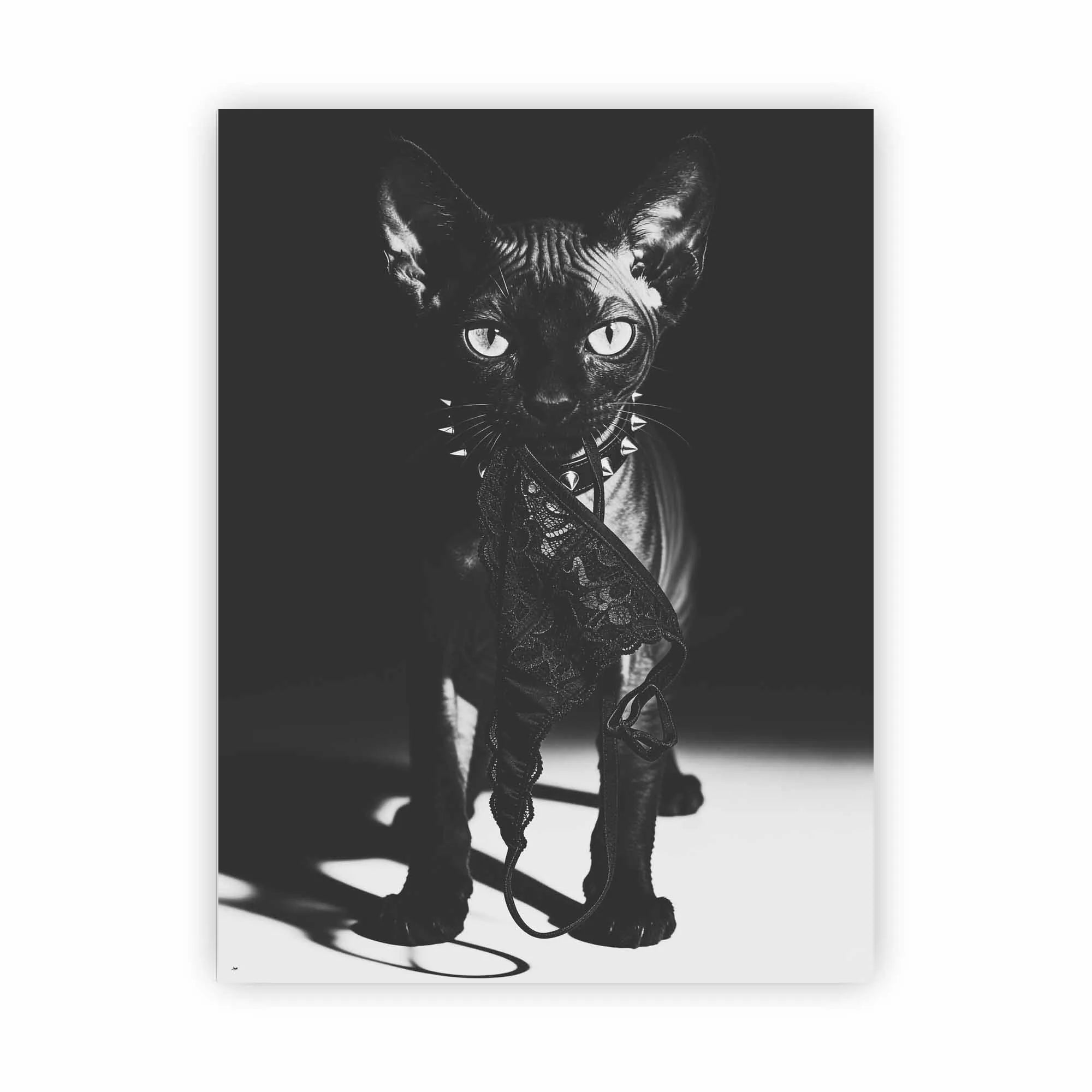 Artist Army Nude Alu Dibond 1