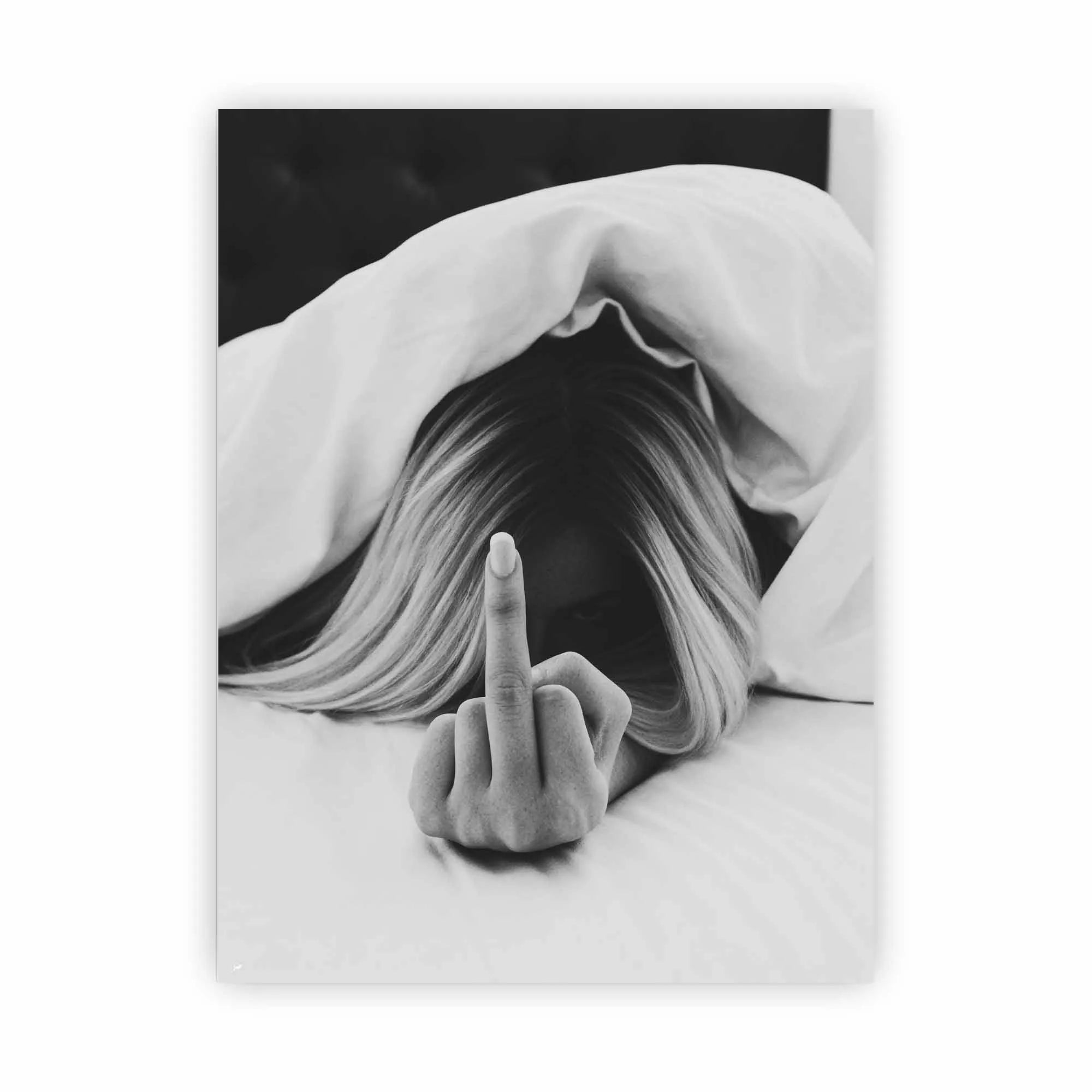 Artist Army Today Is Cancelled Alu Dibond 1