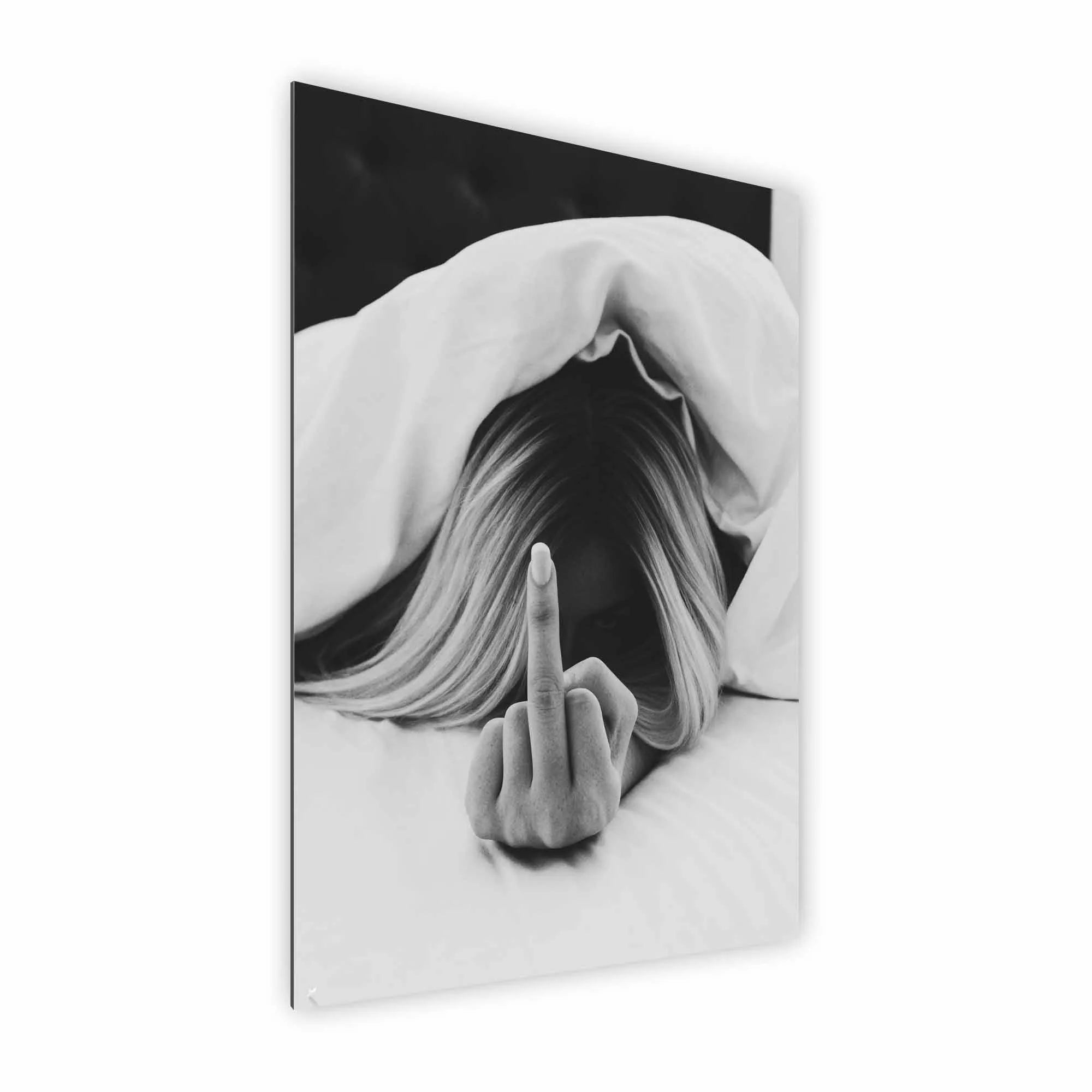 Artist Army Today Is Cancelled Alu Dibond 2