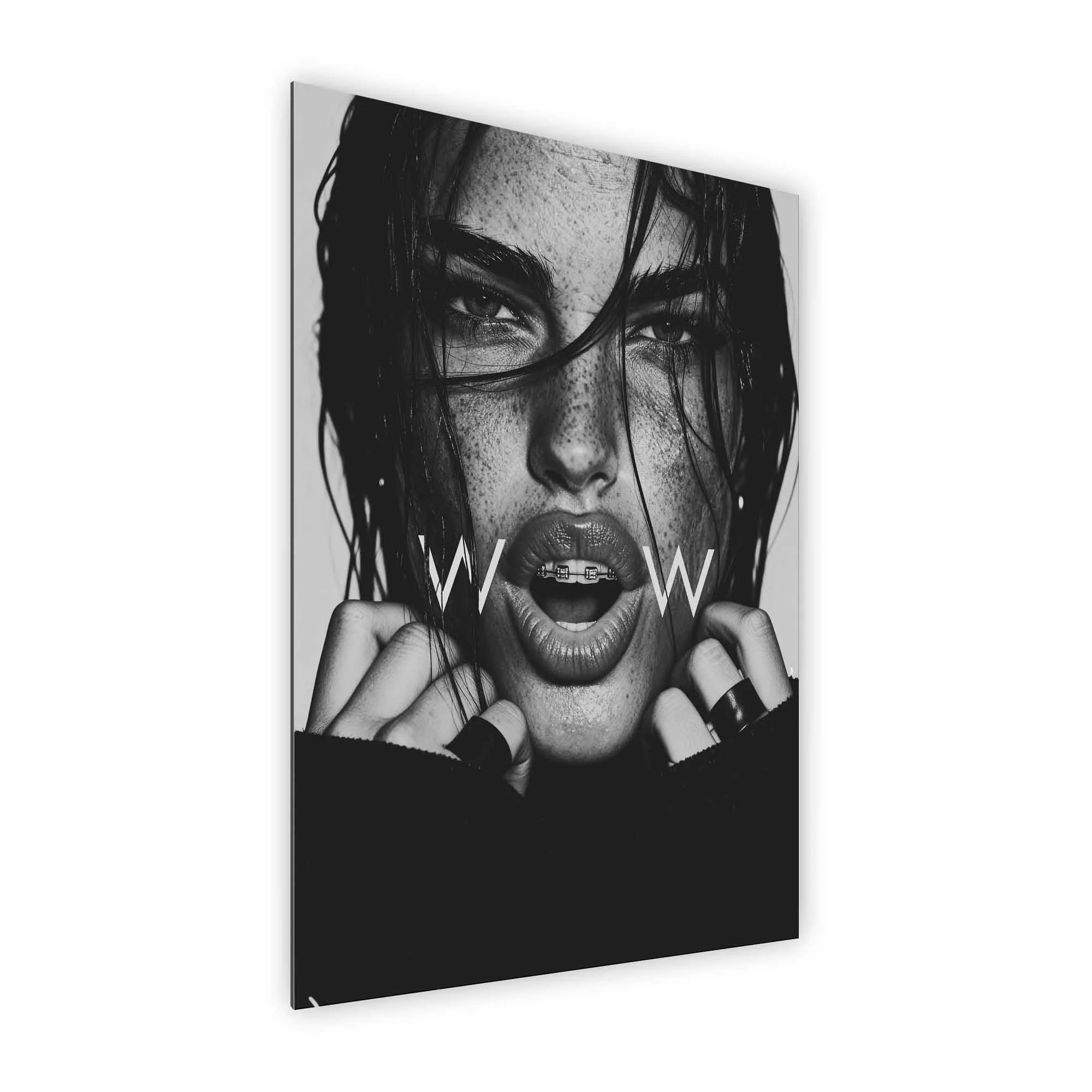 Artist Army Wow Alu Dibond 2