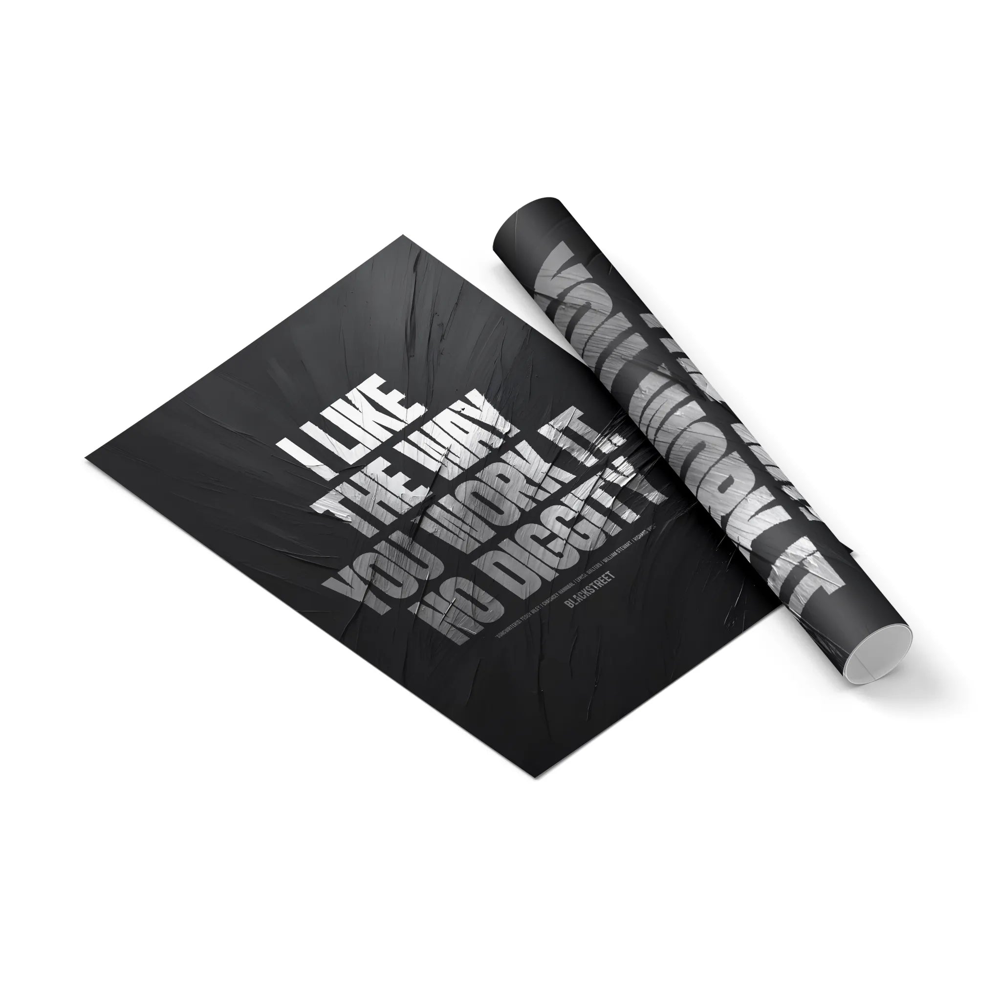 No Diggity Poster